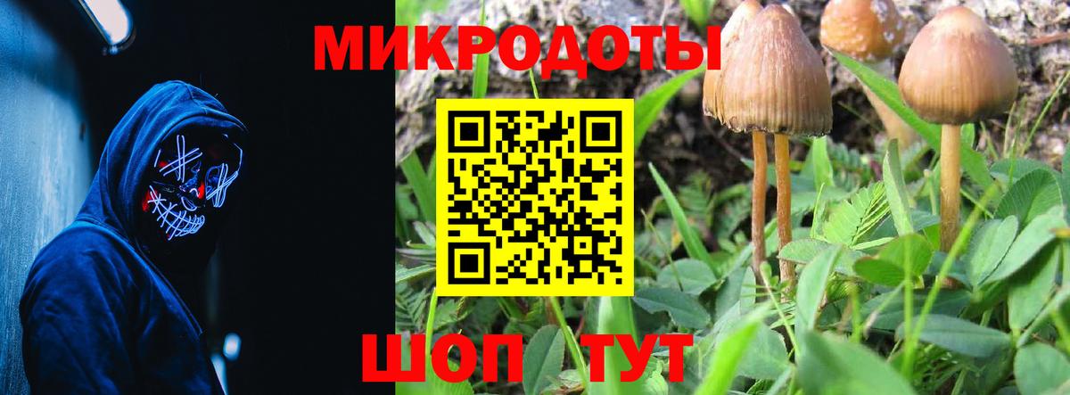 Галлюциногенные грибы GOLDEN TEACHER Кыштым