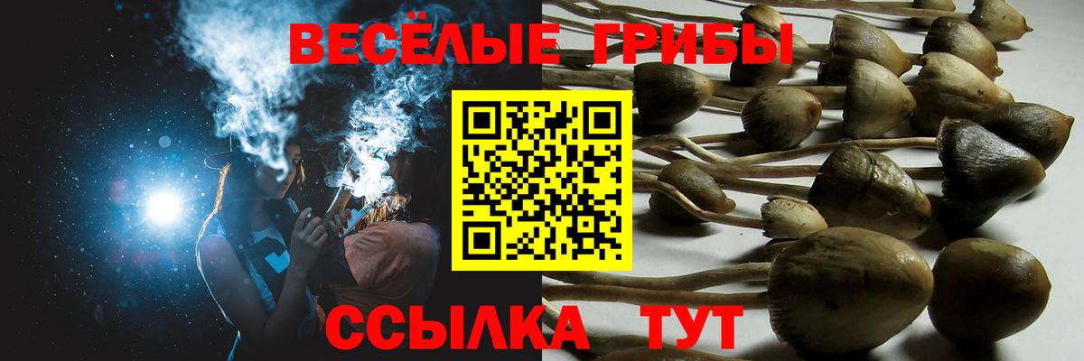 Кыштым  Псилоцибиновые грибы прущие грибы  что такое наркотик  Вход с VPN 